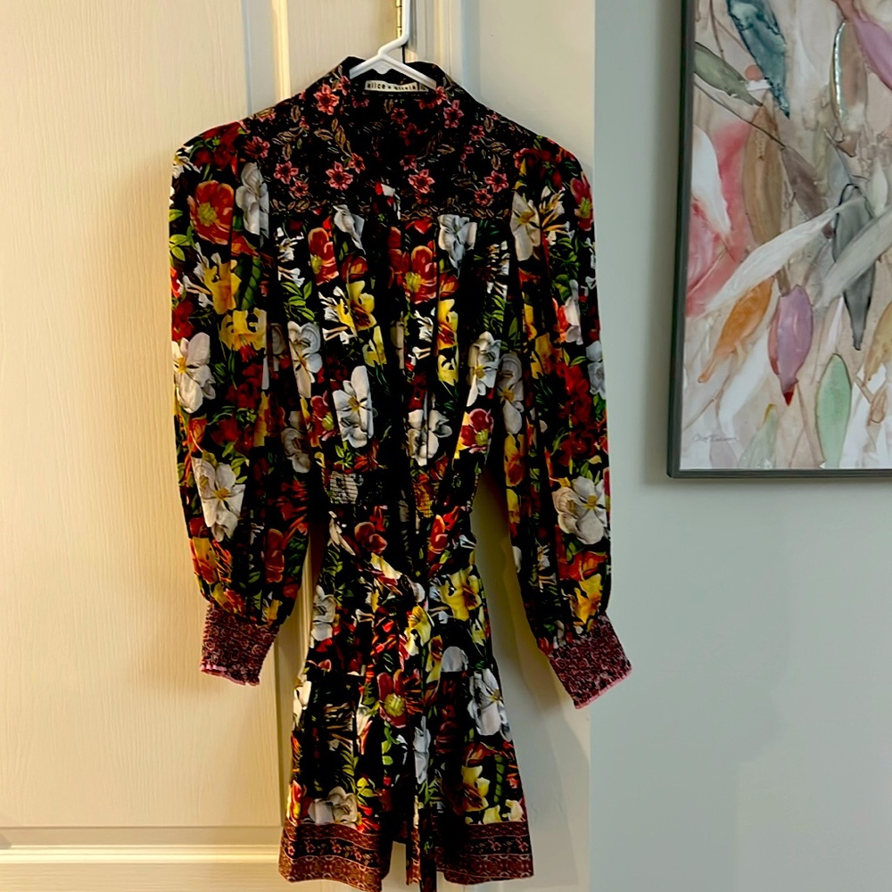 A beautiful new never worn Alice & Olivia mini dress